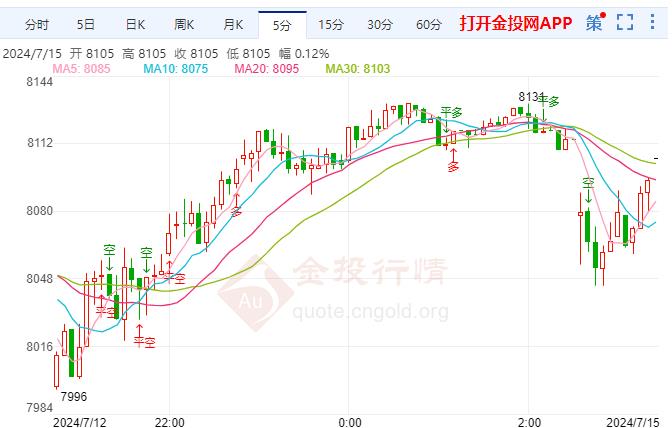 探寻白银宝藏，心灵与自然和谐共鸣的旅行记——白银实时走势图分析（2024年12月22日）