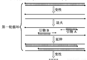 往年12月22日PCR图绘制指南，追寻变化的力量，实验室之旅到成功彼岸的实时定量PCR图绘制技巧