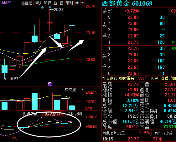 西部黄金行情大揭秘，最新股价走势分析！