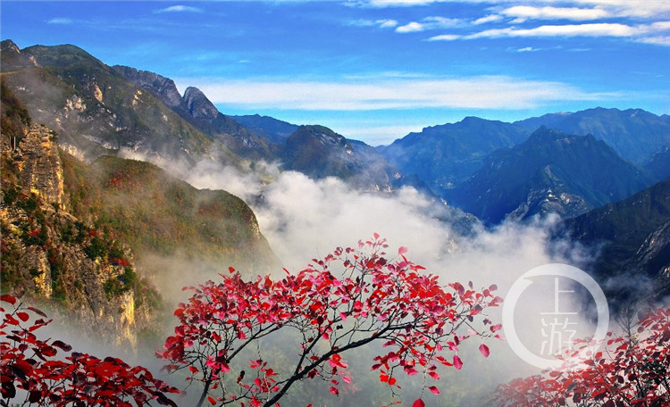 庄河青龙山探秘攻略，必赏美景，尽享自然之旅！