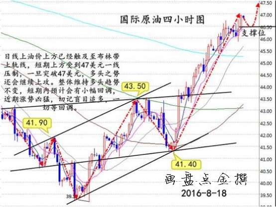 钢结构大棚最新价格走势揭秘，市场行情深度解析