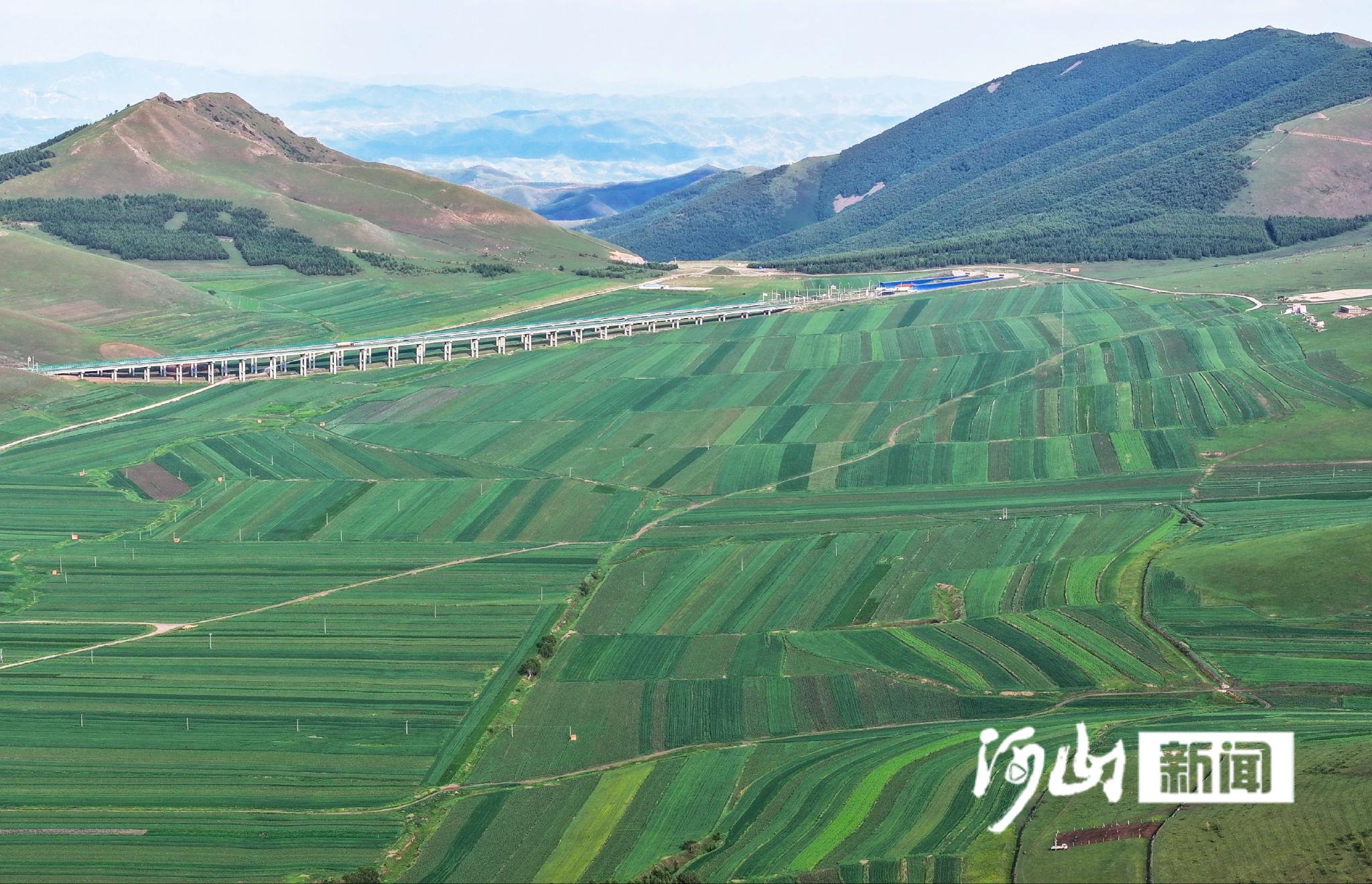 张家口坝上地区热点新闻速递