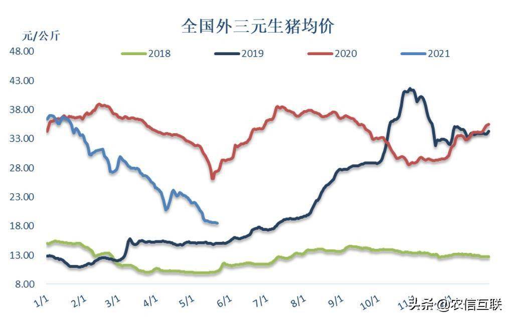 今日宜良猪价走势分析，最新报价与未来趋势预测