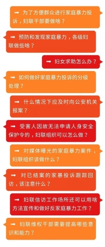 小鸡领养规程表与最新图片全攻略，一站式指南助你轻松领养小鸡！